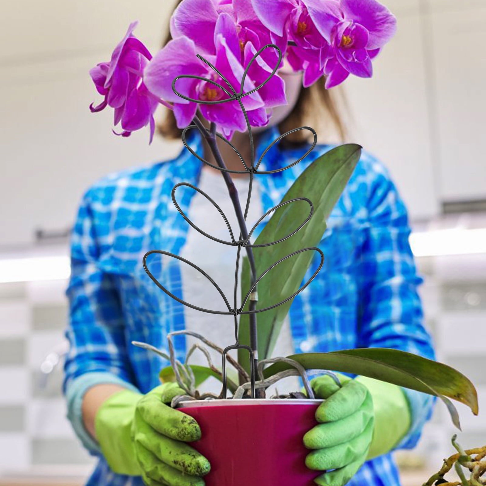 015b36366a1921f7b9dffdfc97362b37