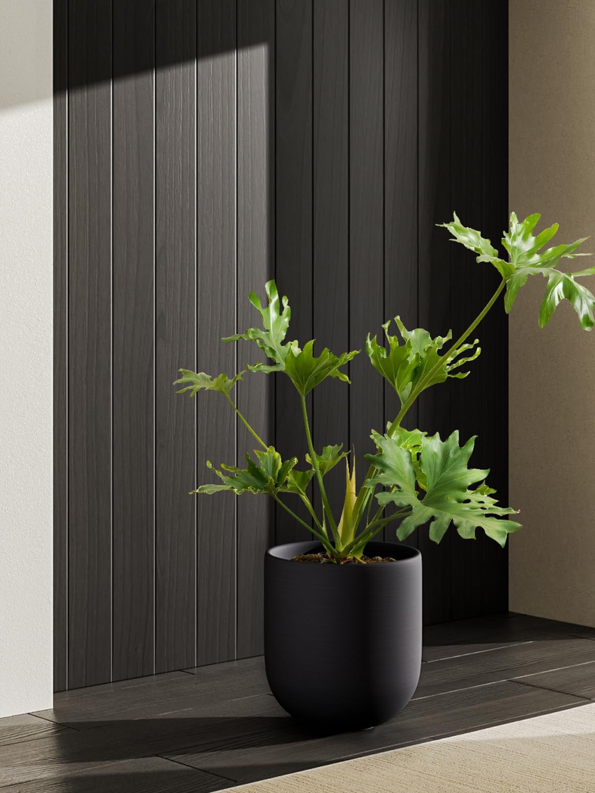 54701259045bb5e0adbdc4d73cc8ed03