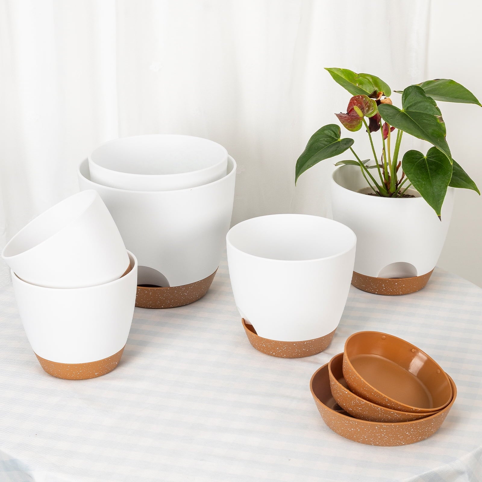 12290f904678f117949f126e4a8d3039