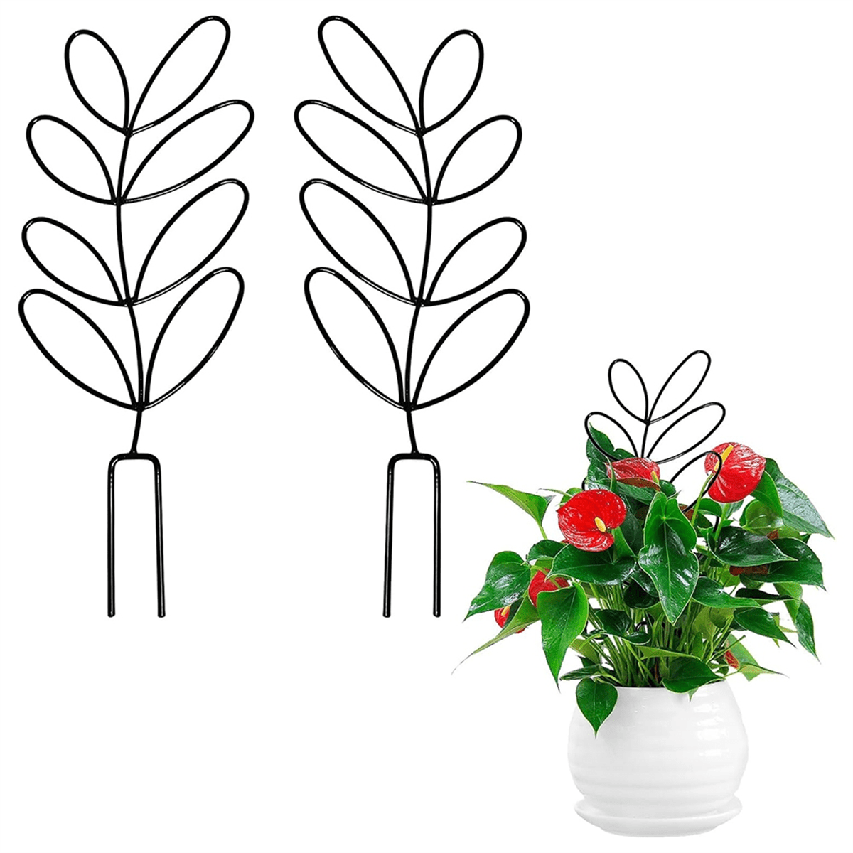 aa97c9f41d33dc9788e44e53b0de7bf9