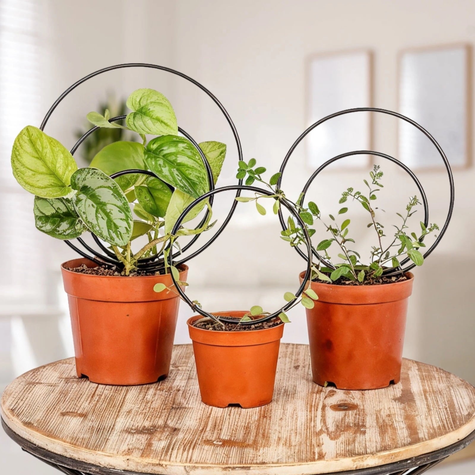 bc7bf2ec27630045d857c6a32db9bfc3