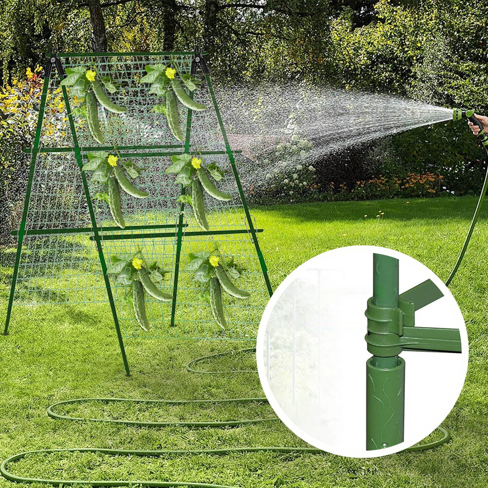 1db8c78616395083f9a63270a1f05a85