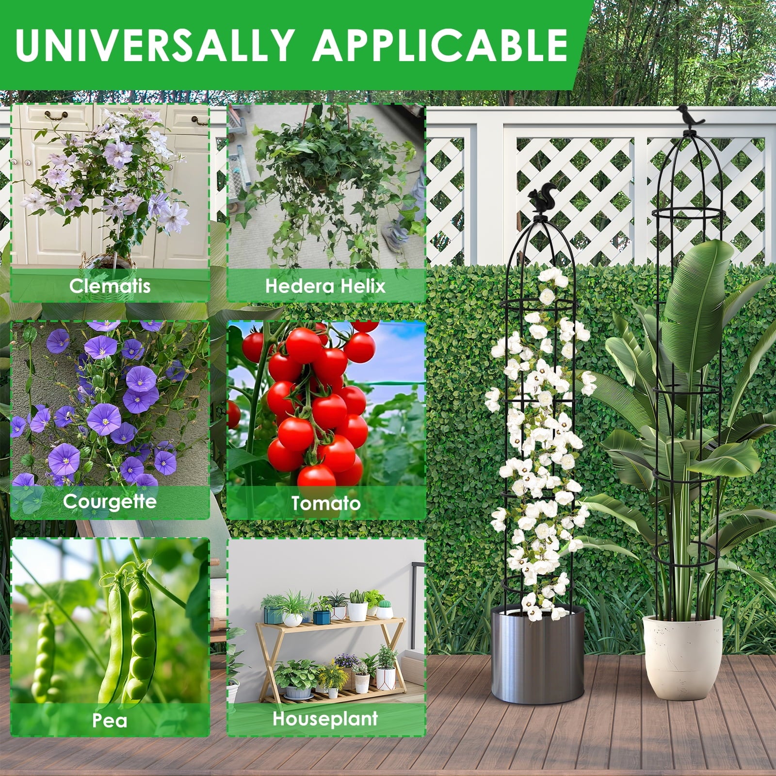 bf79acf715a921975900d72b905e0228