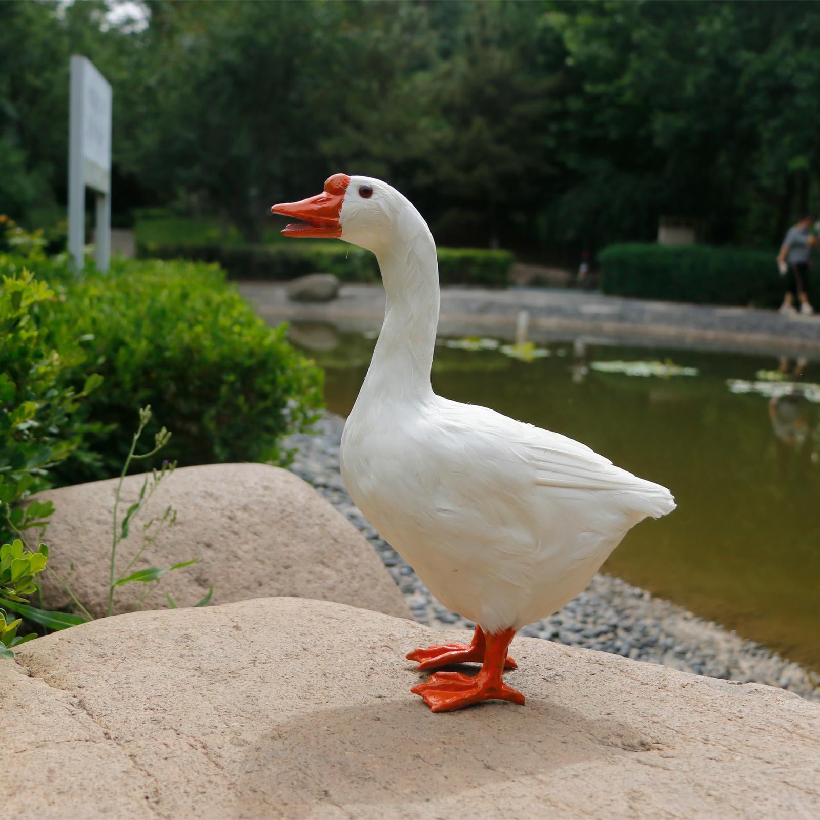 2577f13ea6122985780c24fe88c9262c