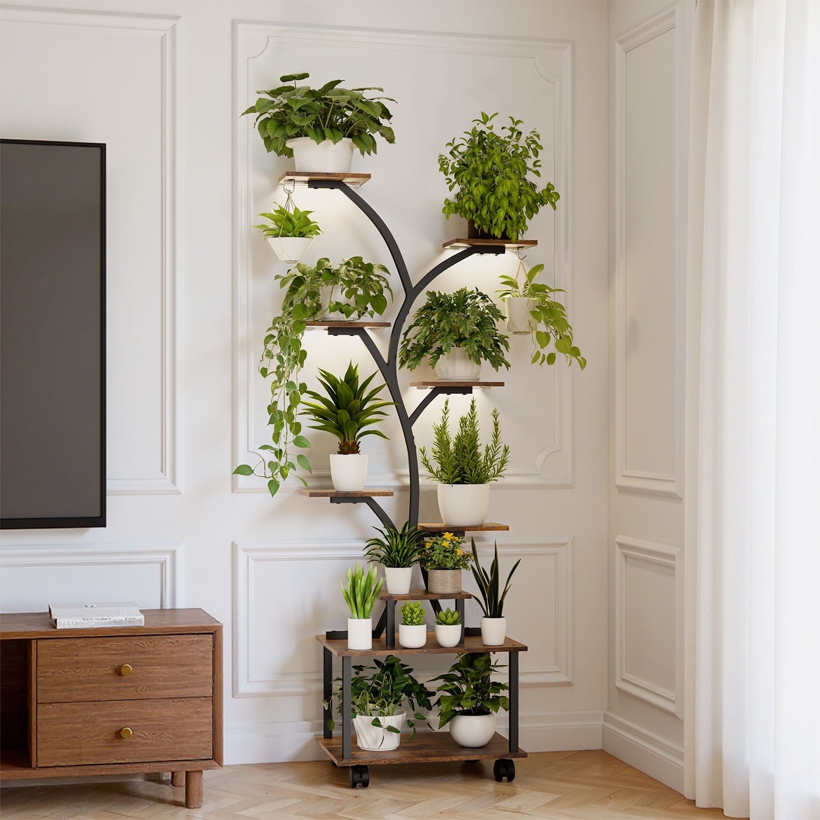 5719b01619dc217a574dc62ec12f36e5