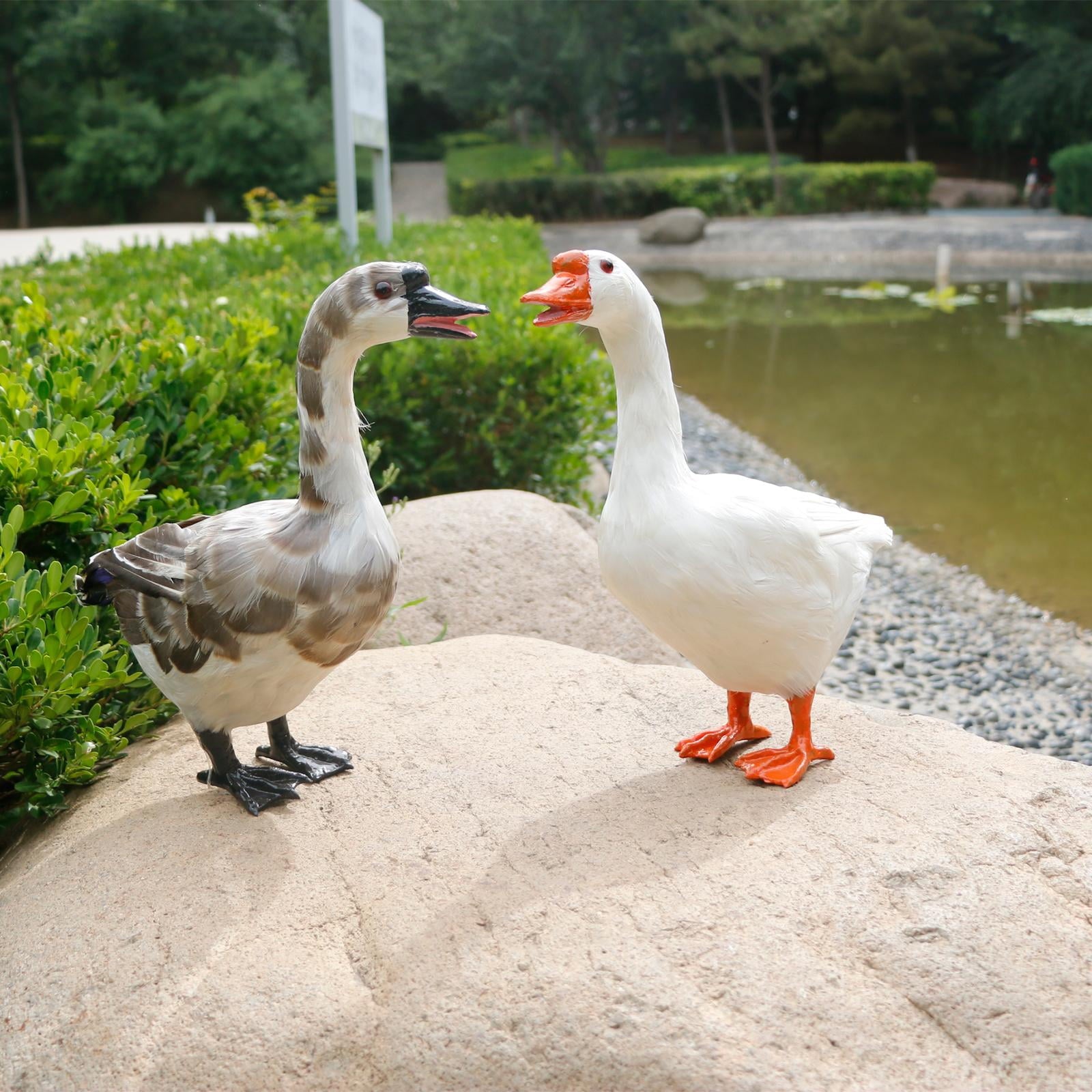 64bc51fb807b4aad143d6042753e17e7