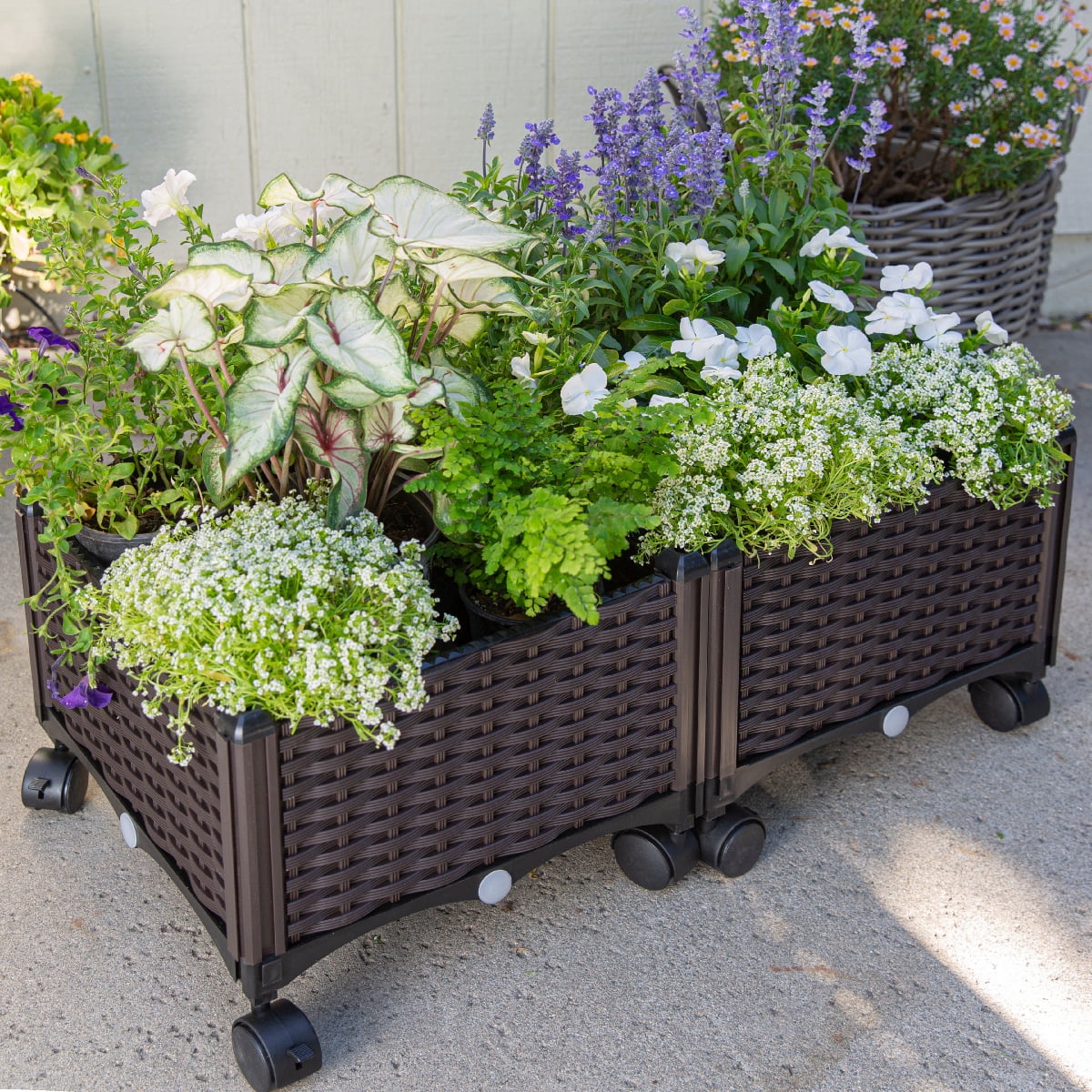 0a84ea29a38efdc101baef53a4d8ec40