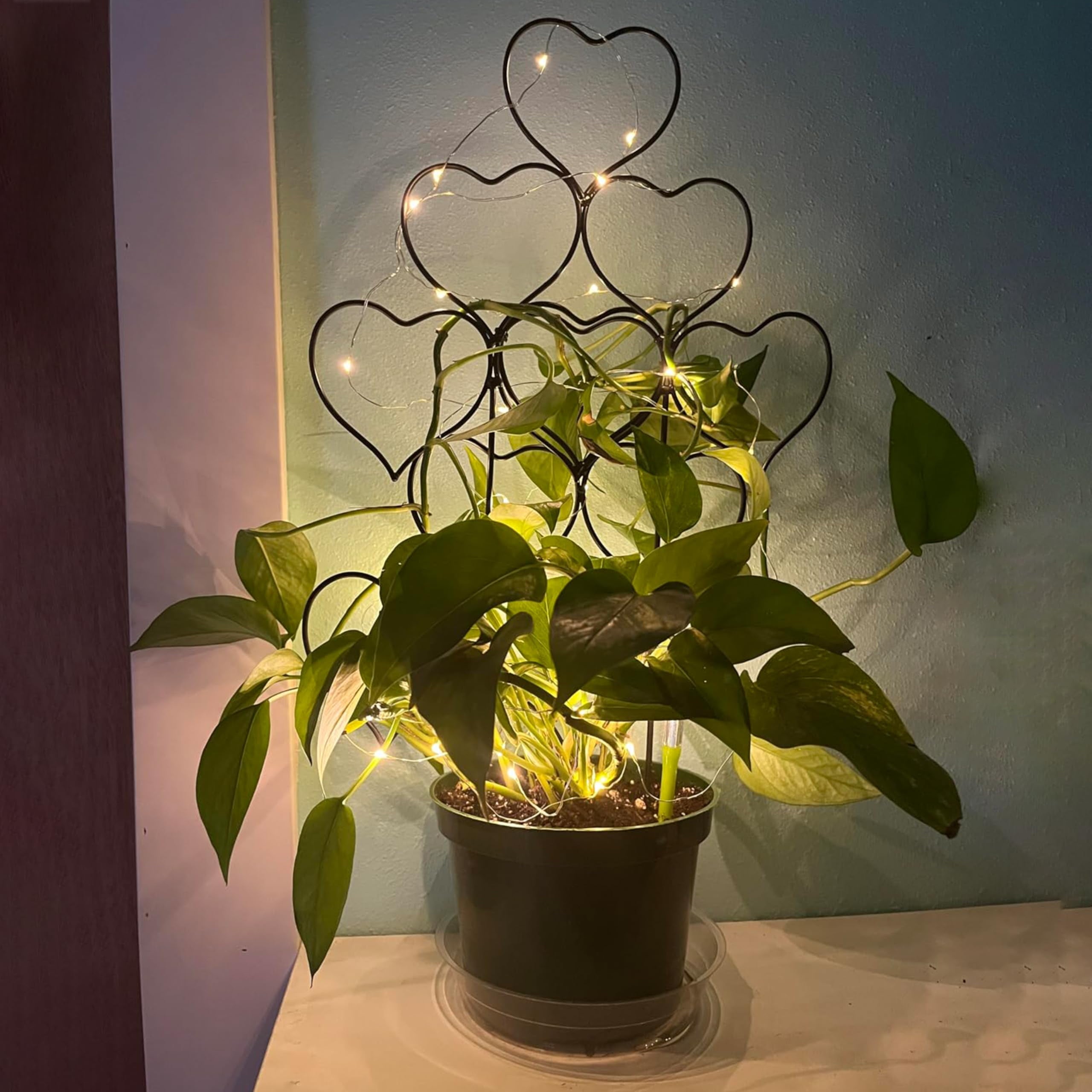 1a3192d0efff1ec54bf68d63e8de8682