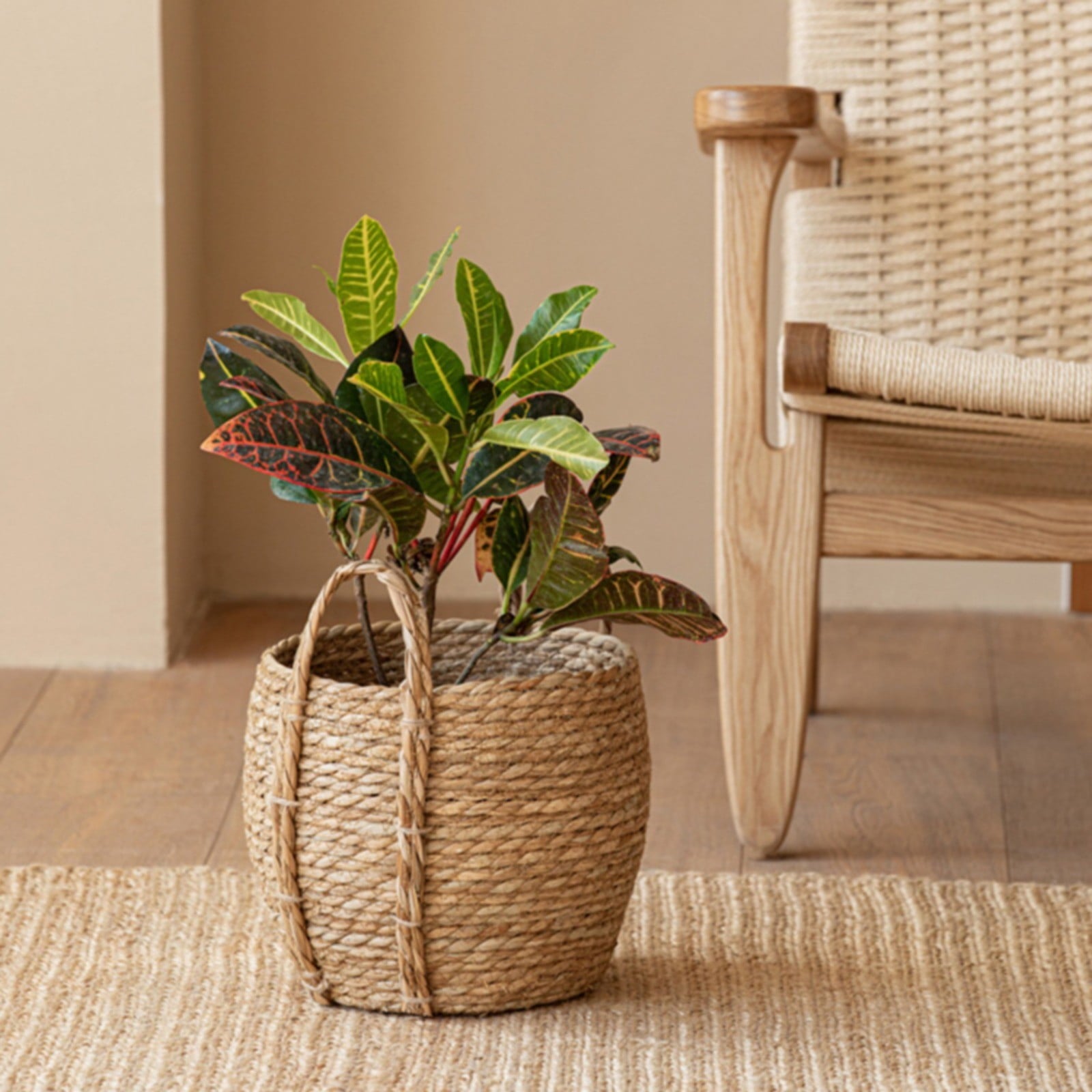 73c762e42172937f8cd232fc68c12ae2