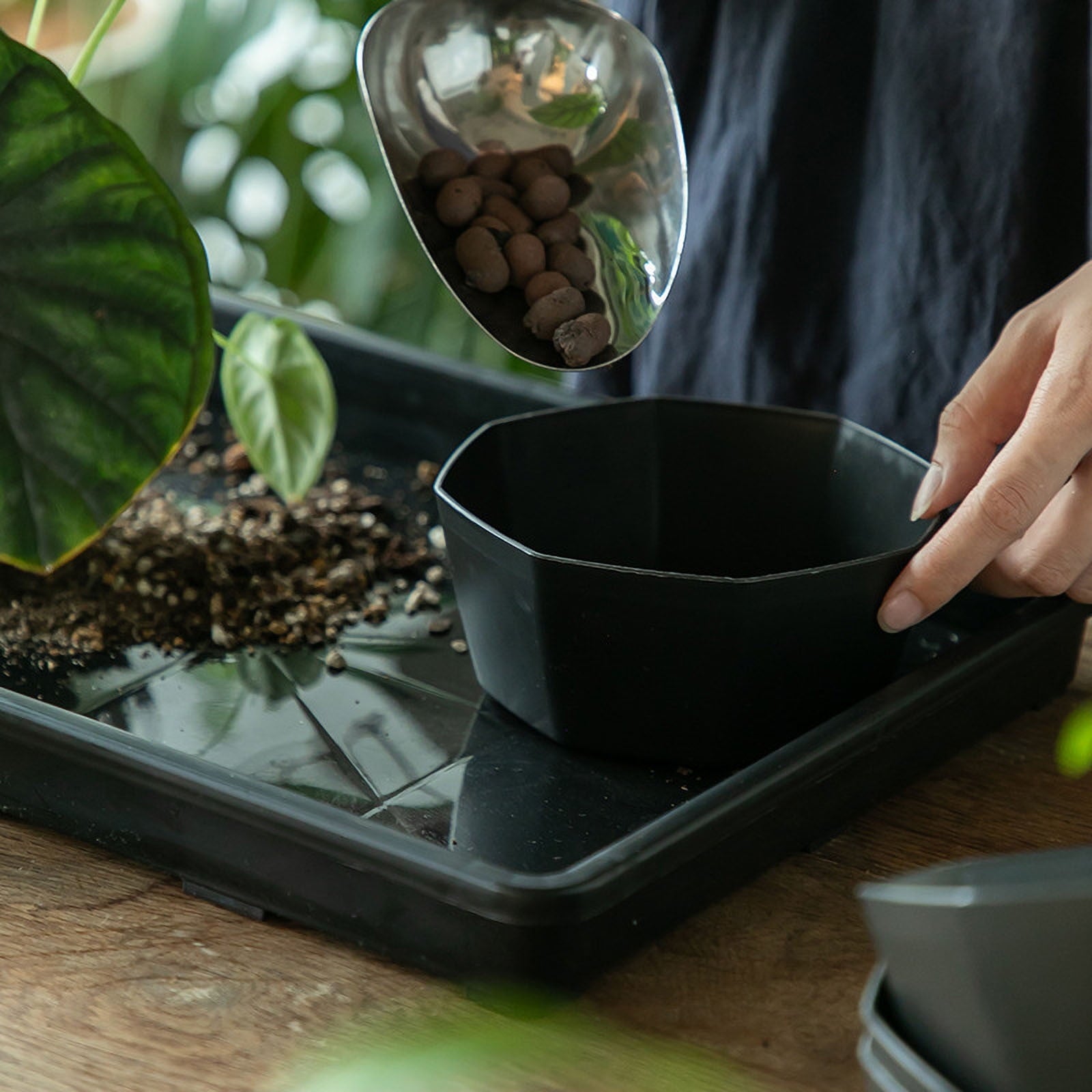 39a167f782a309da226bf81445ac24b7