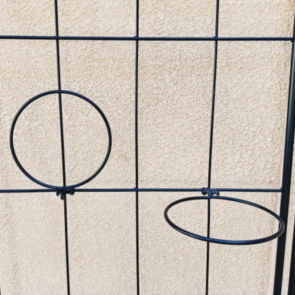 f82b429916b01dab77da1702268c900b