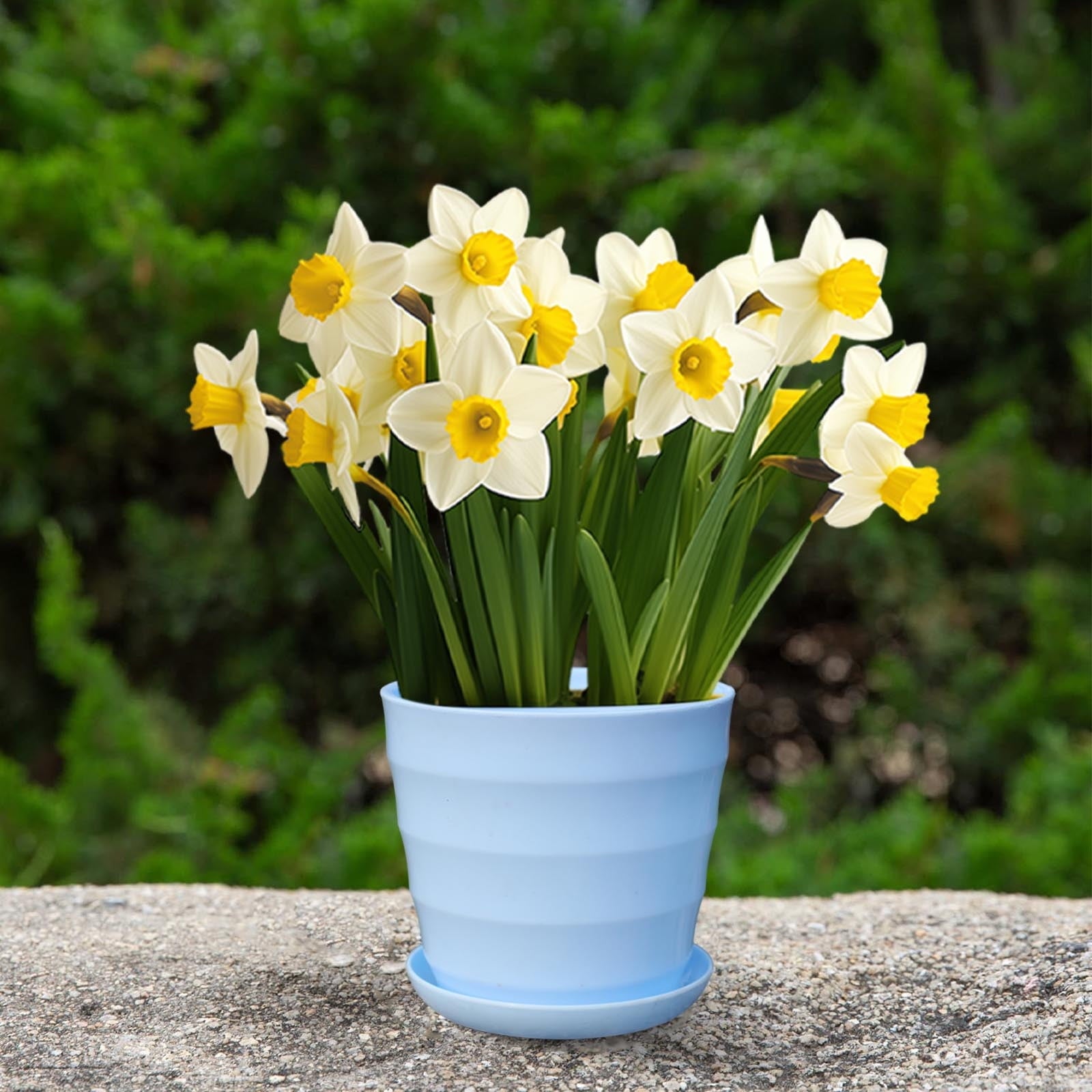 1ebd2478591b9fa402da7eb794eda5c0