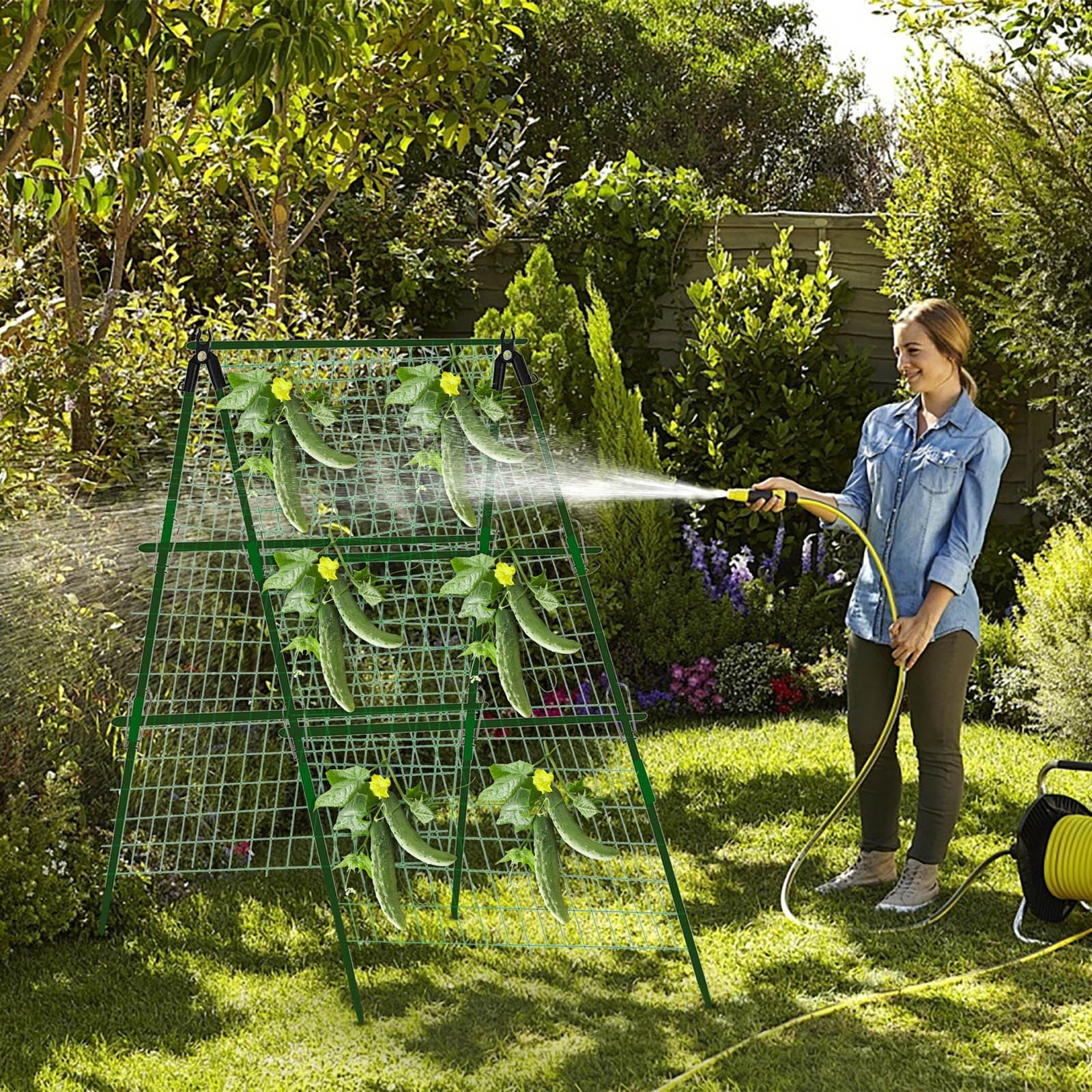 b89e714e8a3b5af63003d56b0399c109