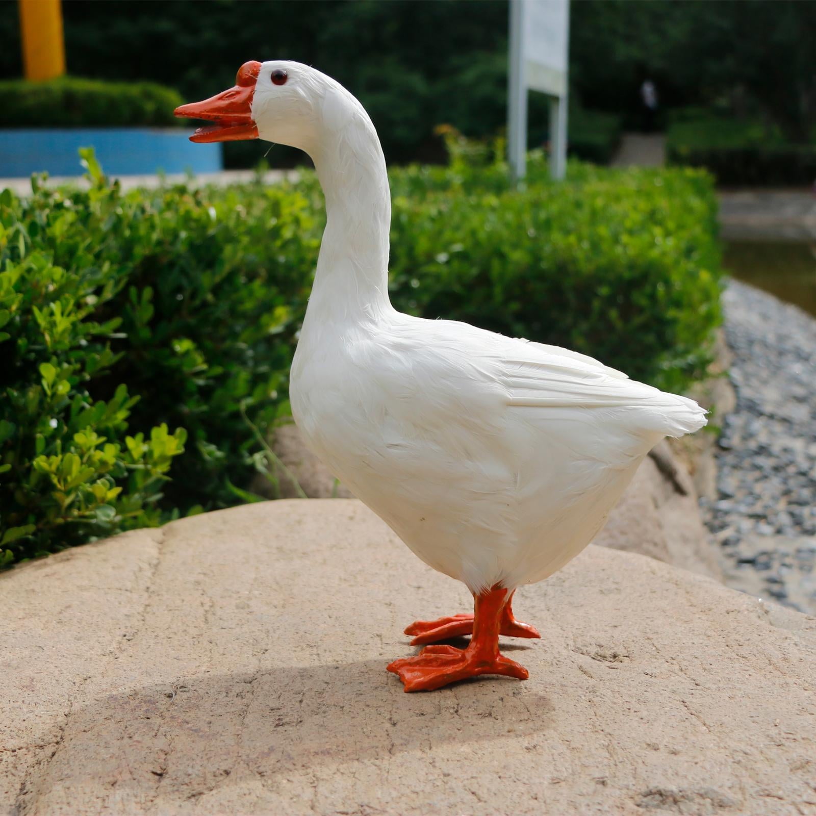 cbcf4ed57db2868141661e84b76e3f5c