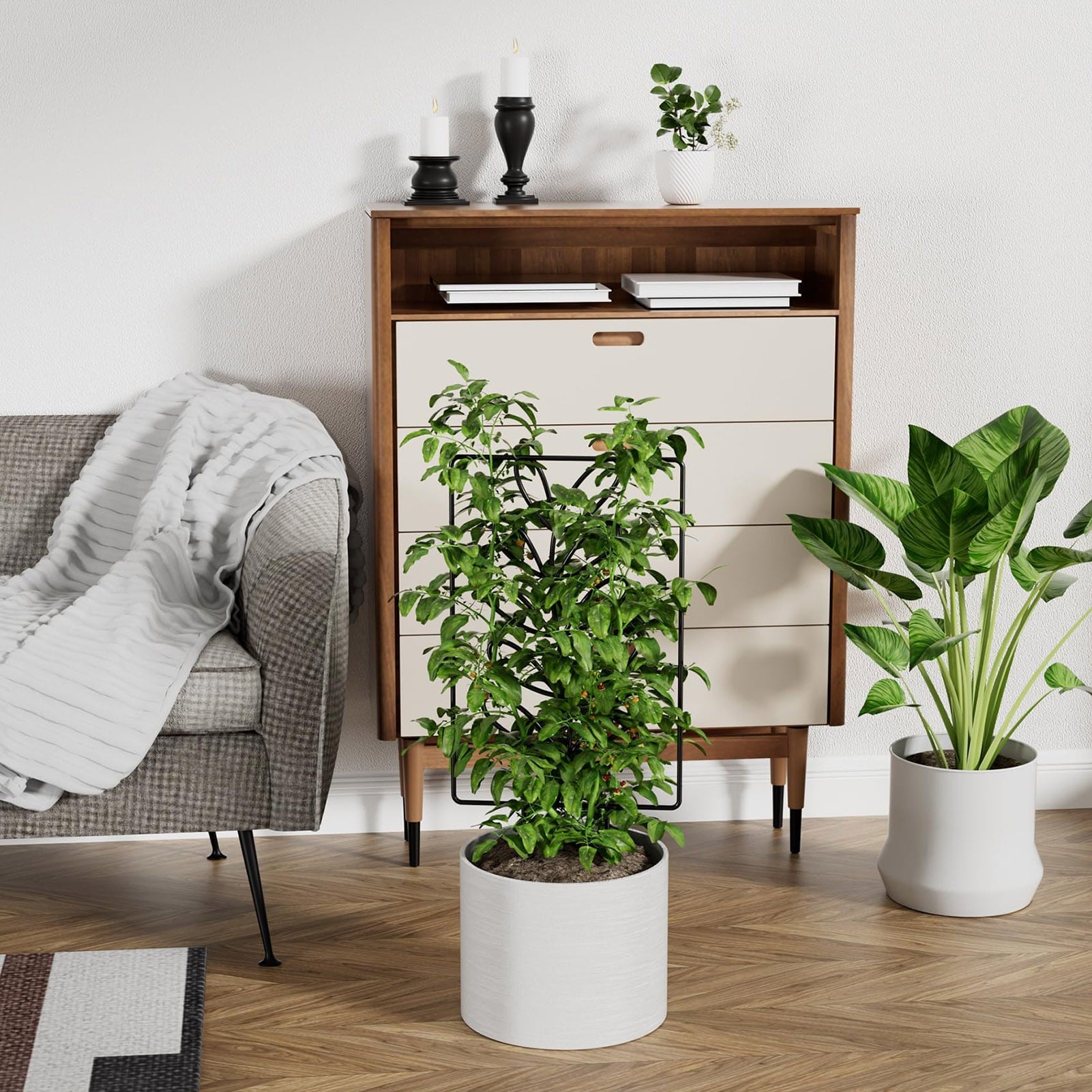 5c177724f092ac0a1381137f01568269