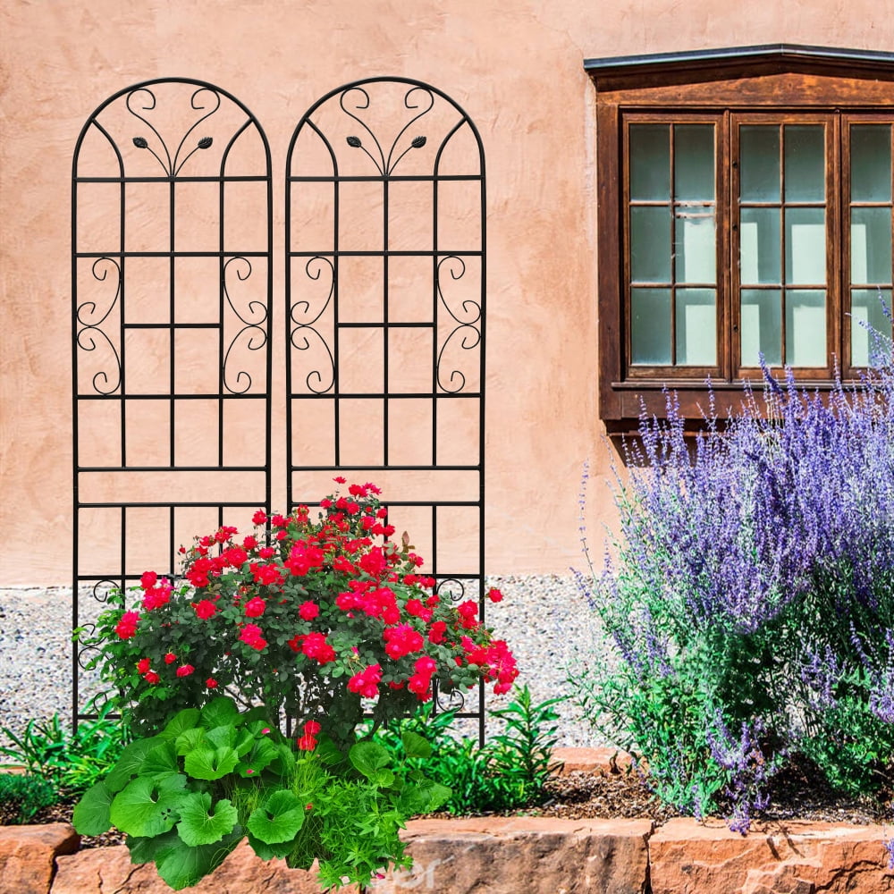 118d5eaf875a1c504542f3540ea3ef8e