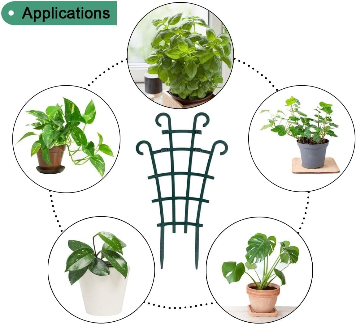 d7dd5402755ea2201f15a2af31a694dc