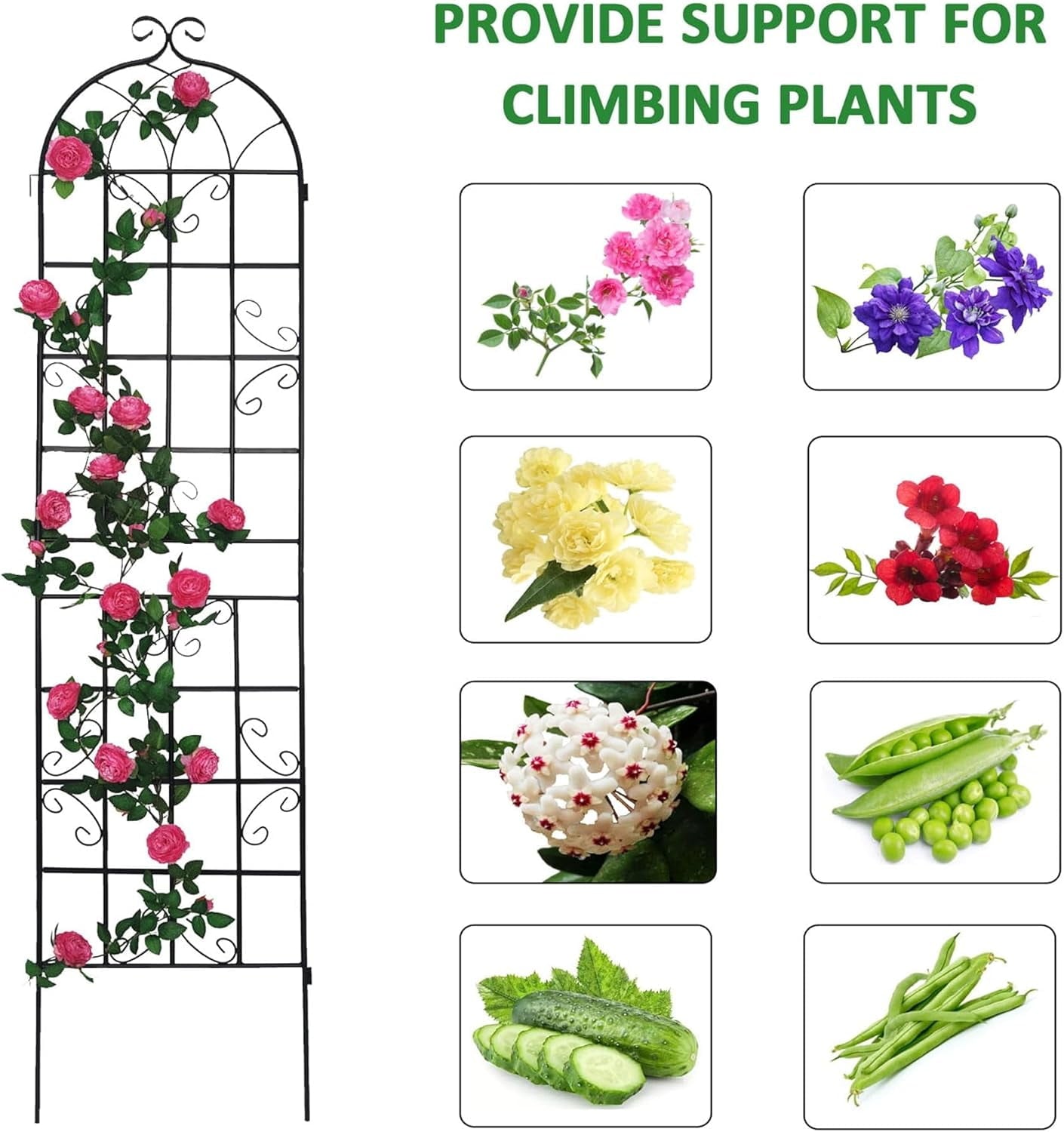 61b22d0a24421d21c294c776079a6579