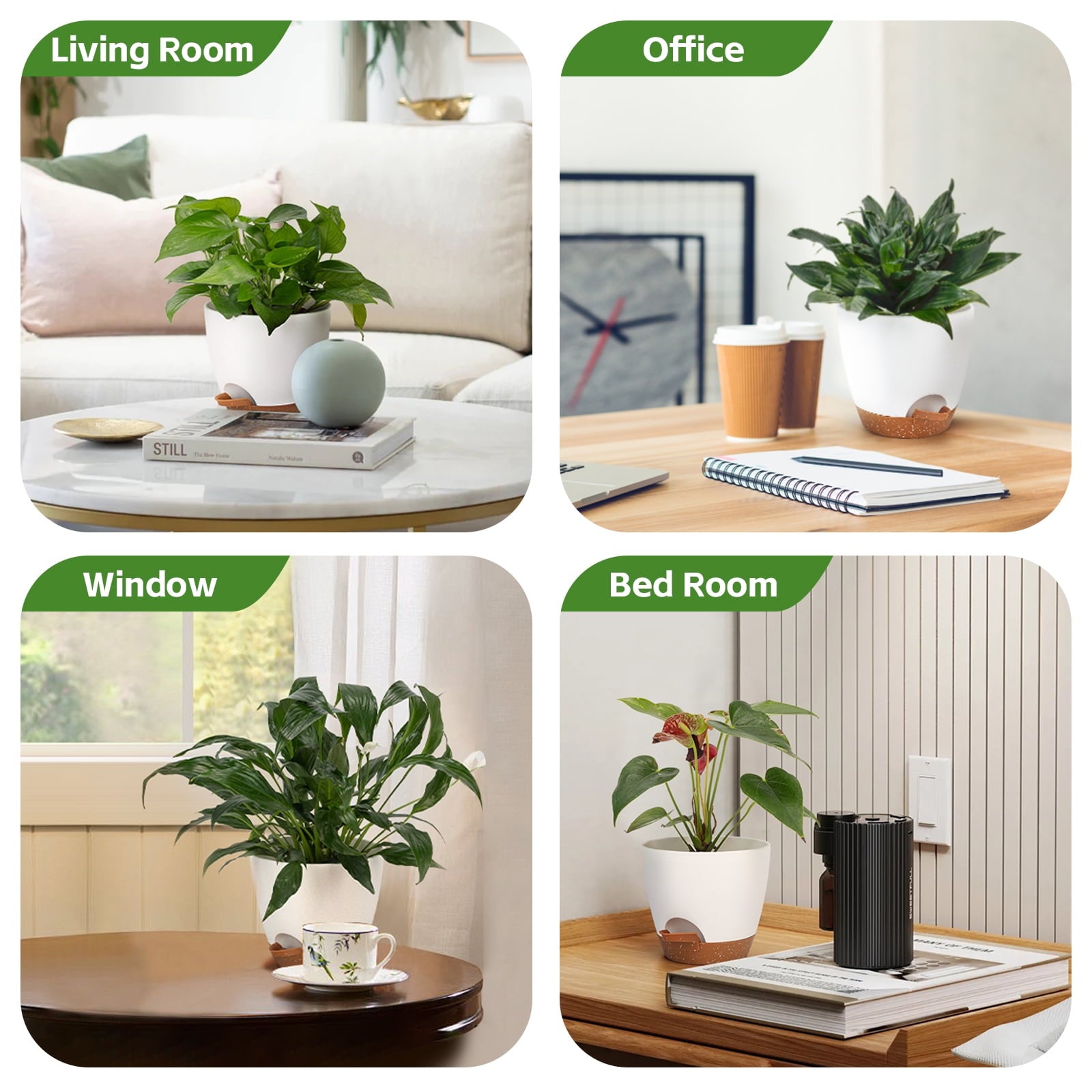 849c53af37a7e4918e05514cc421dc71