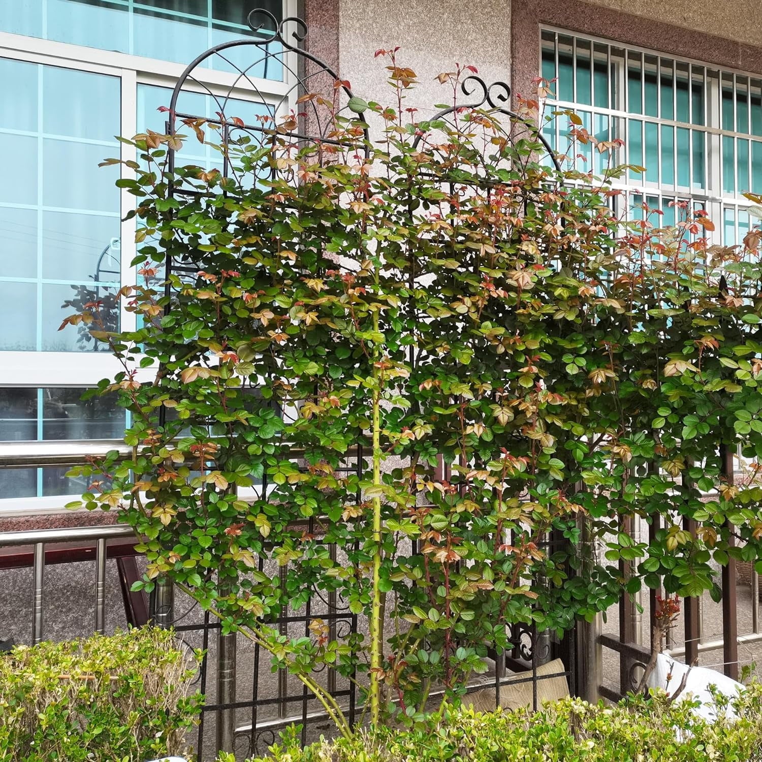 37adf86c2d6065139db32065680e004f