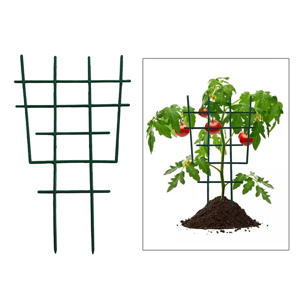 1abde6003448cb10e0ded3bade9f5e20