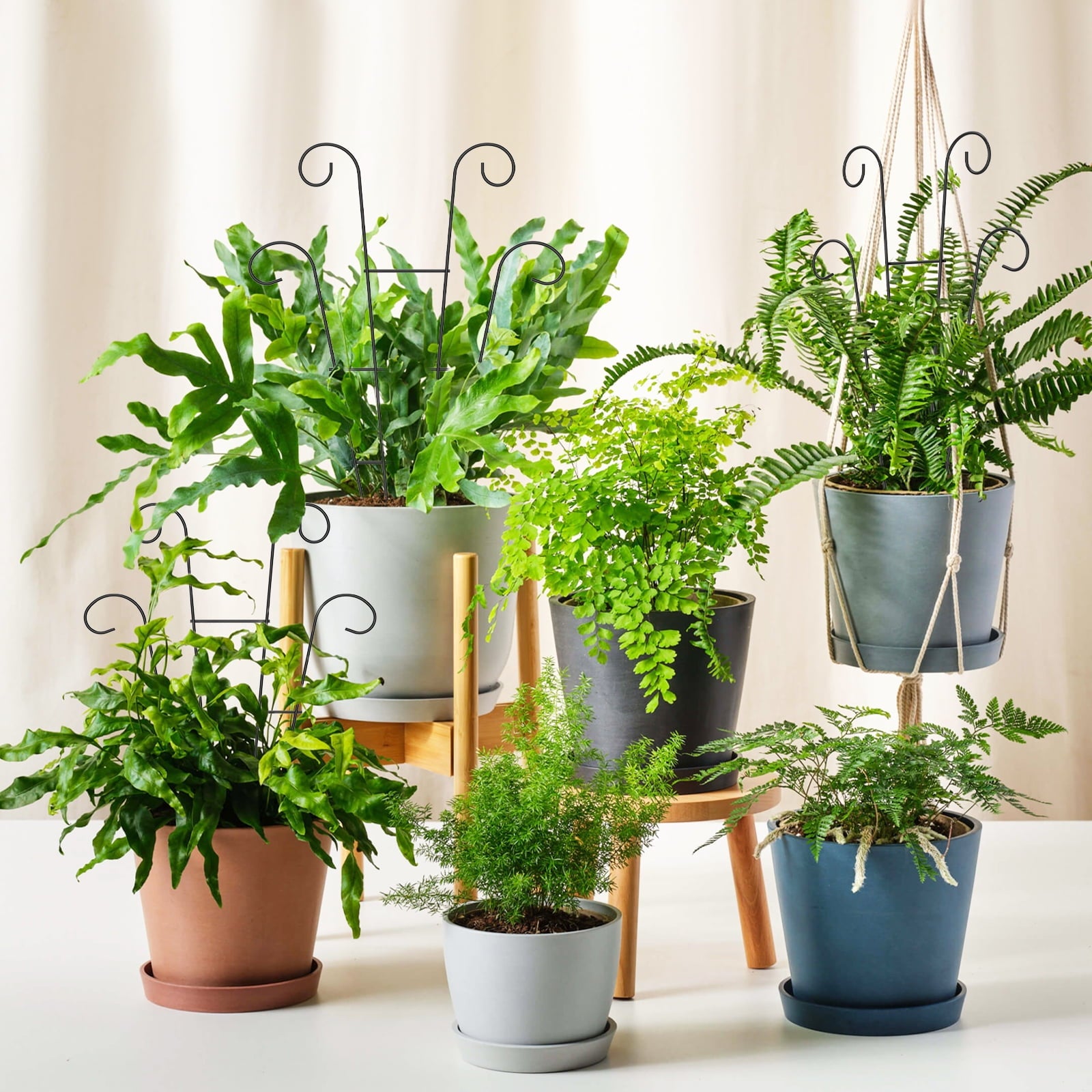 da44cc8e99b5151463a50b4ed2874be9