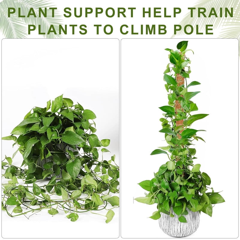 b1a1c517105067a8d7517b8624652d14