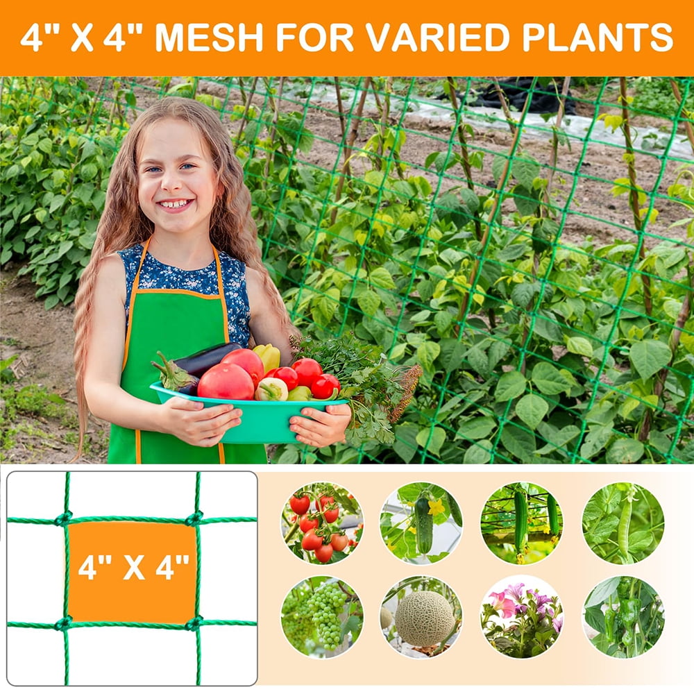 76d0d25bb65f7273fea3dfa1eec78f96