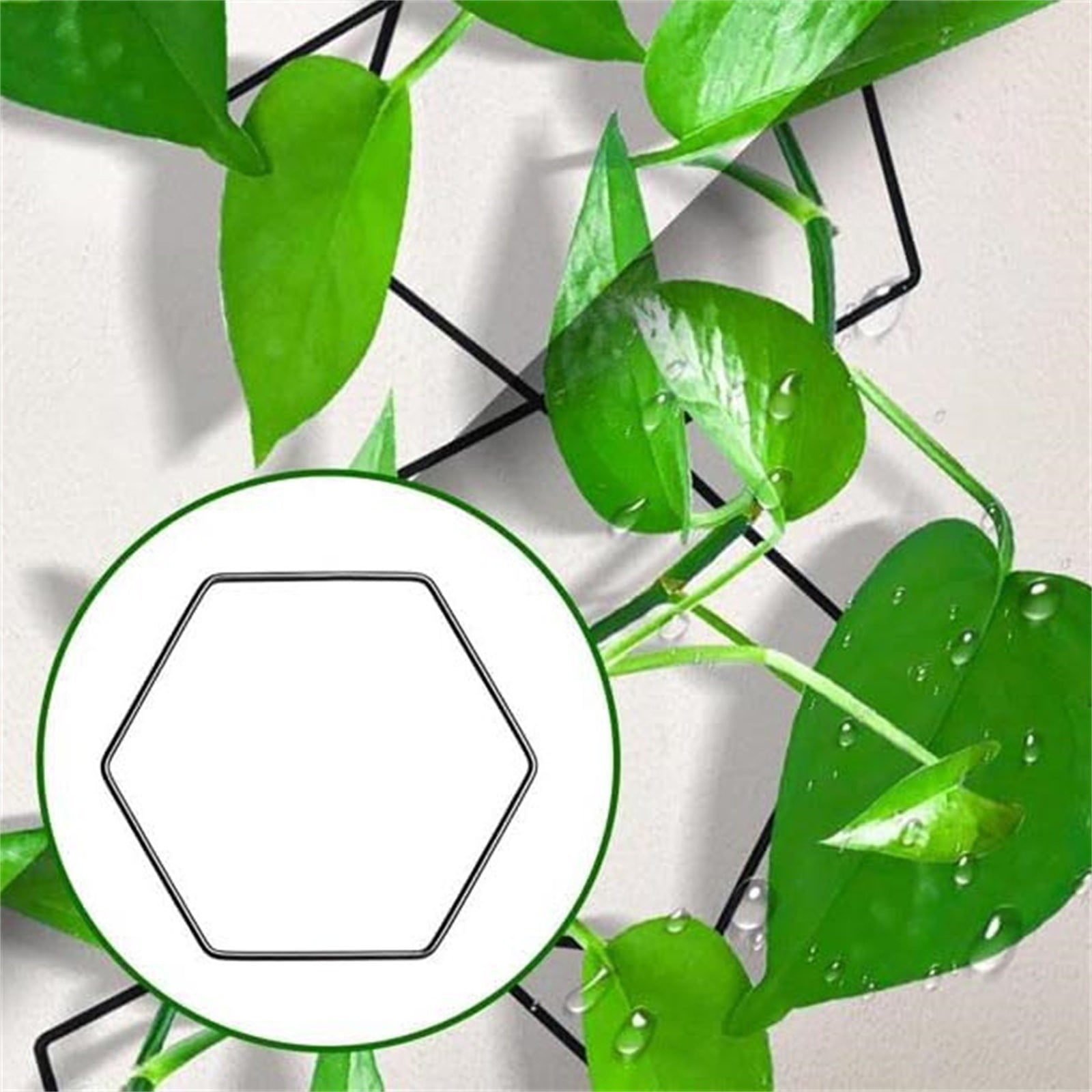 cce561b0f8c1dfc9238391317985cf07