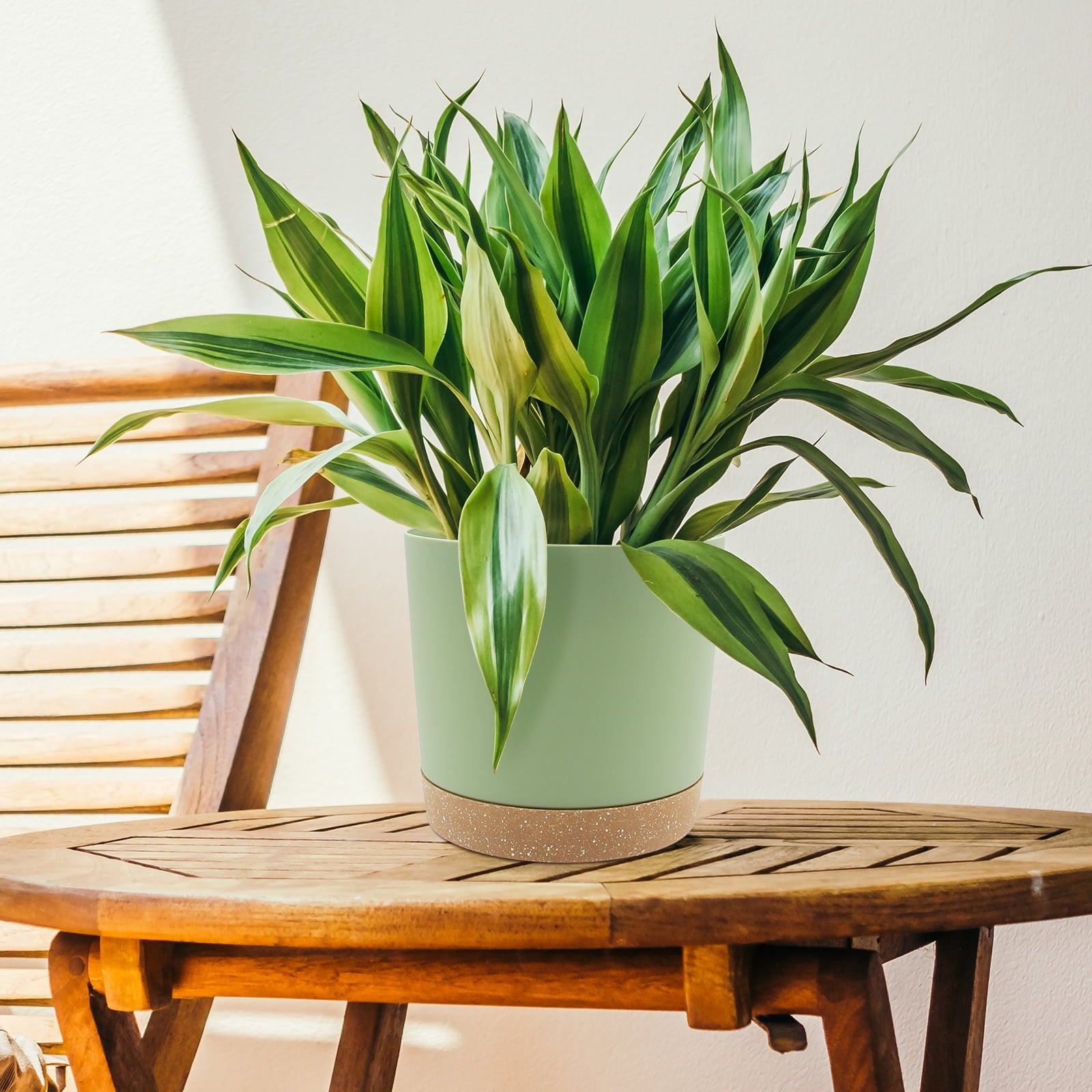 66e613af1a7900c798b59464ca3cf12f