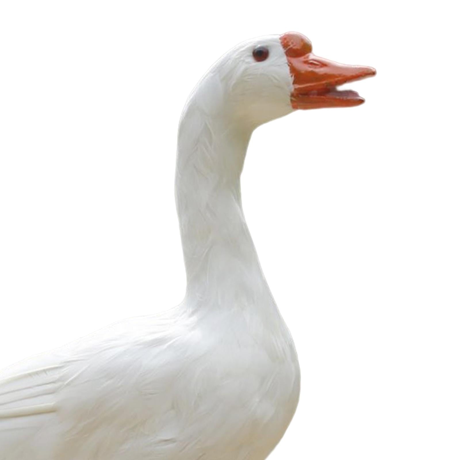 370be5f0c2d4d27ee8caeef94bd40c6d