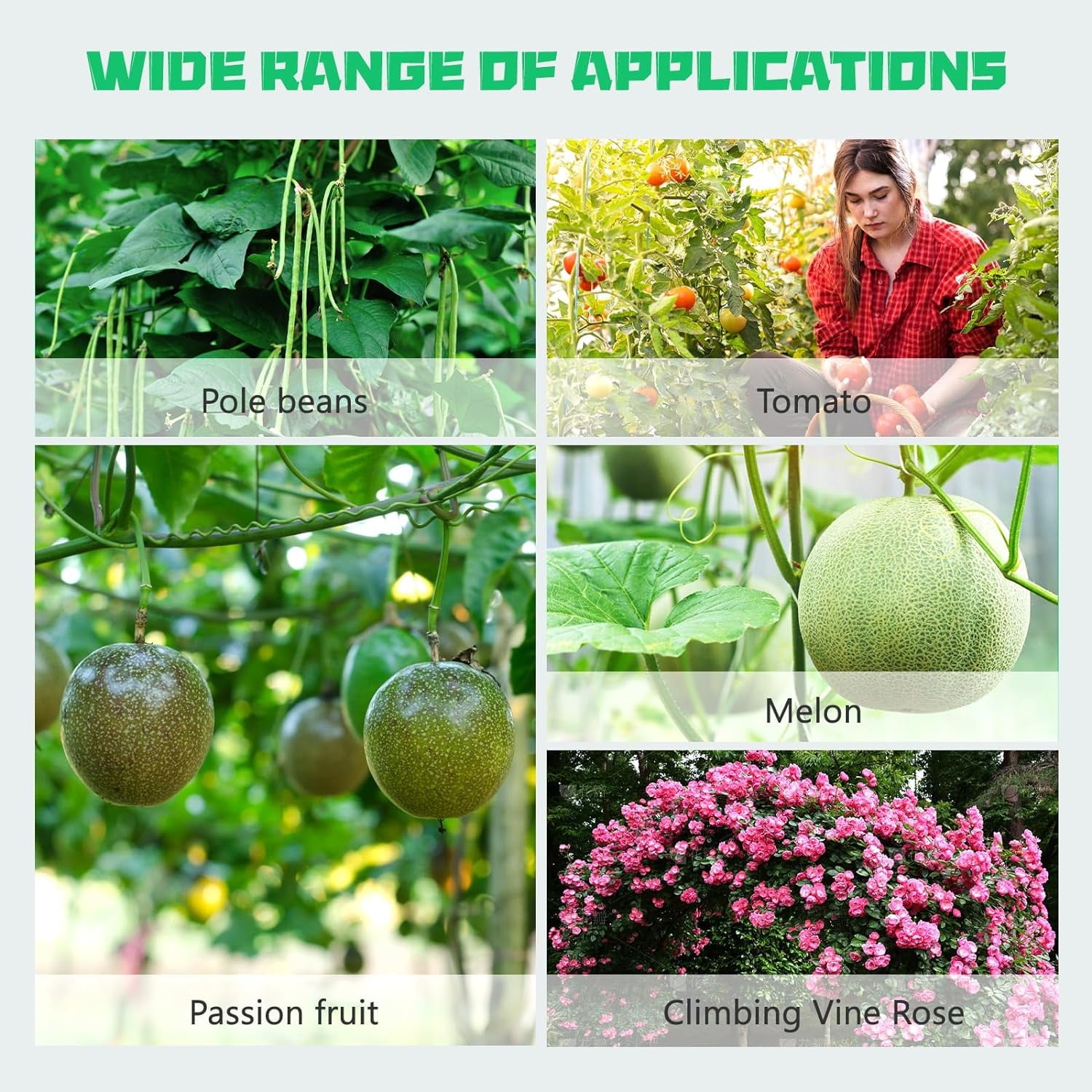 9bb3abff22609aff9f4a4aada9dc1fd2