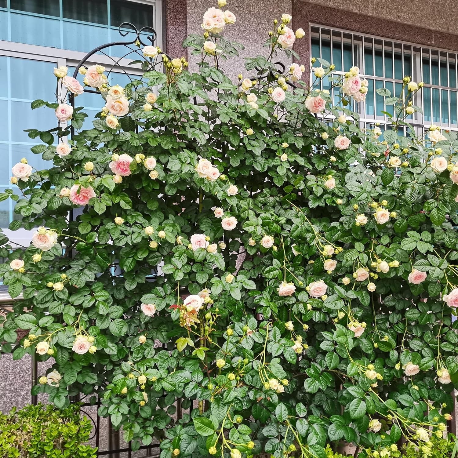 b341e05a18603d449e48682b629965c9