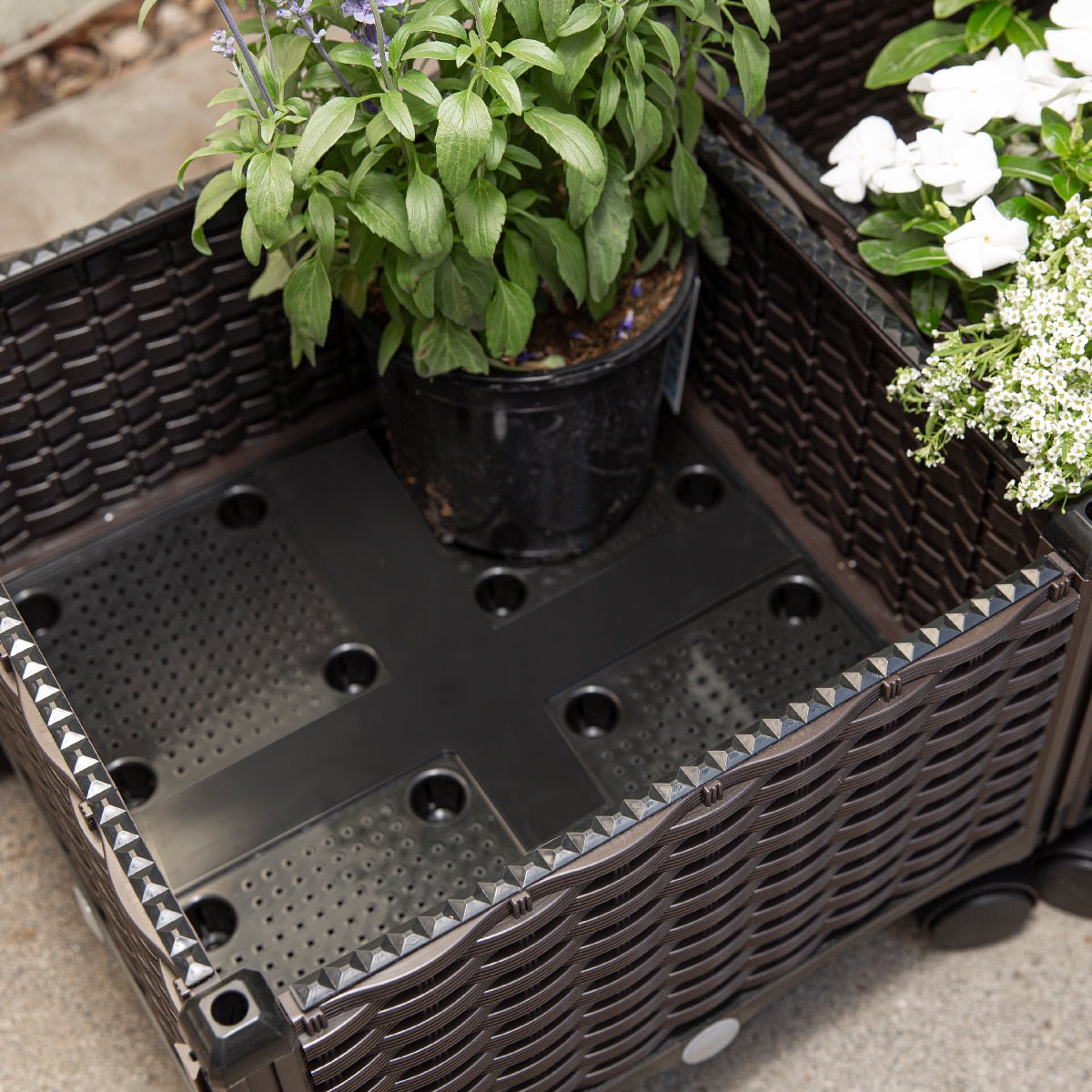 e29f9ff0771d43785ac1cfee20b2f0b6