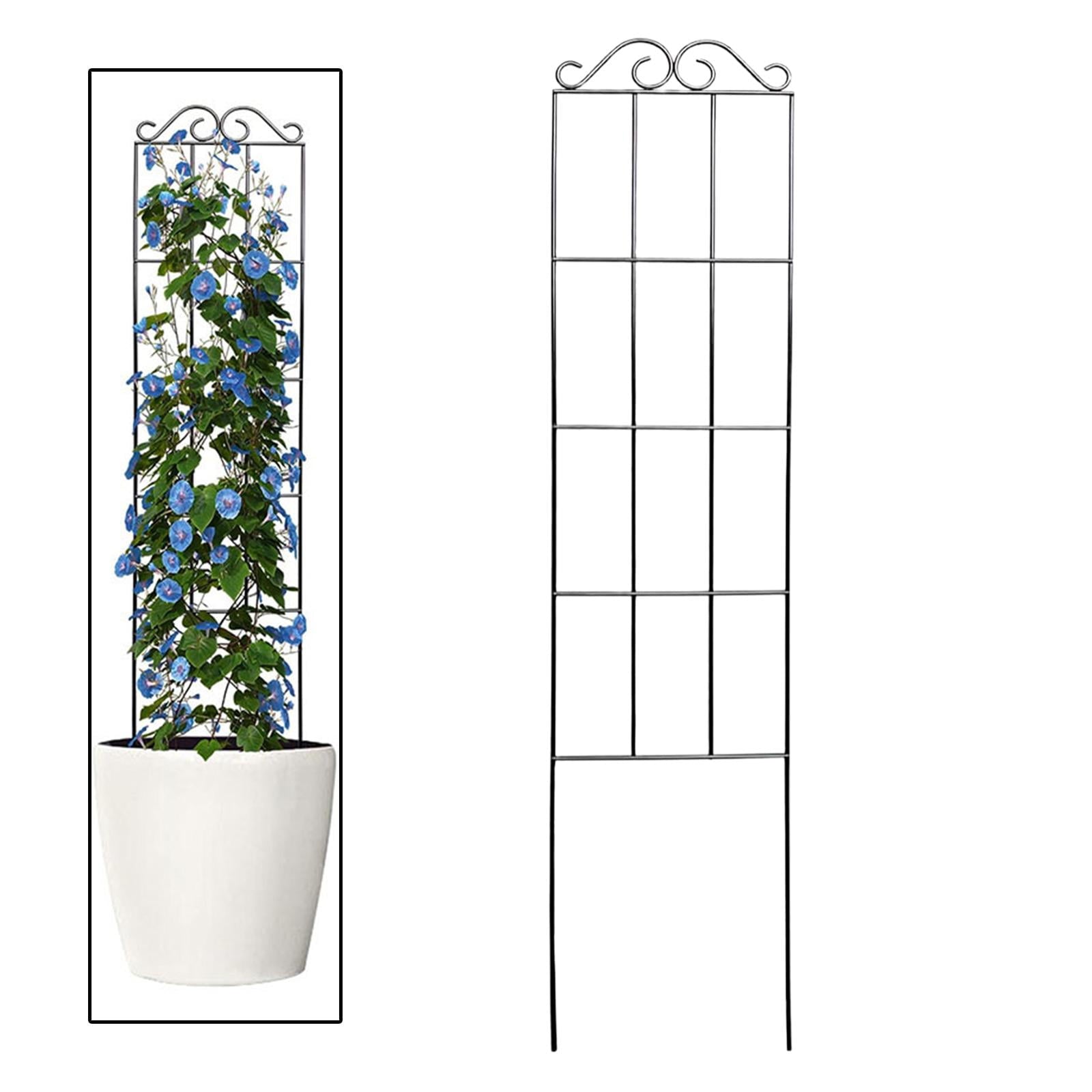 73d7859146f6bb517ac5fa044248e56d