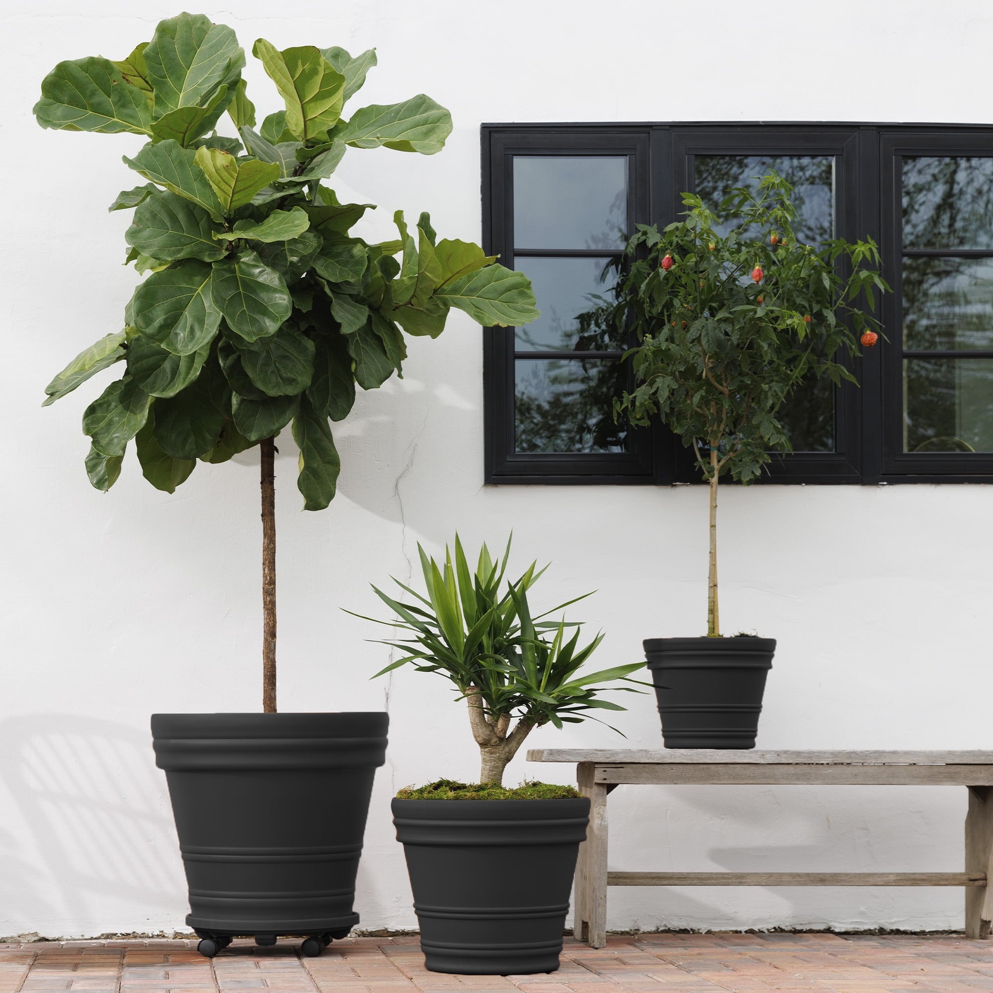 0f76e4594d339047c70b69145cc3381a